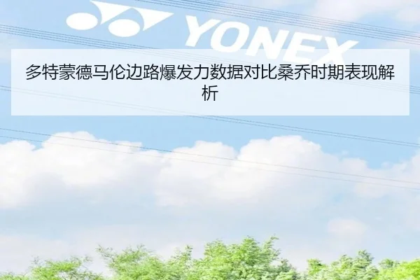 多特蒙德马伦边路爆发力数据对比桑乔时期表现解析