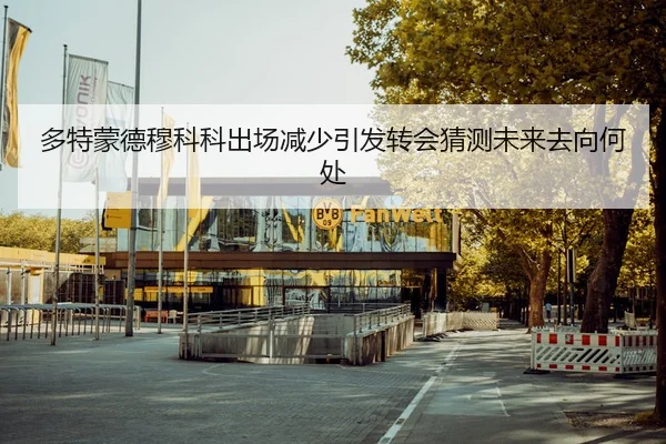 多特蒙德穆科科出场减少引发转会猜测未来去向何处